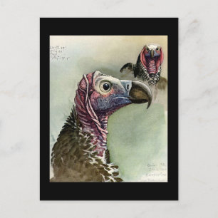 Carte postale Vintage Chicago Art-Abyssinian Birds