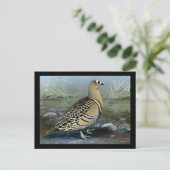 Carte postale Vintage Chicago Art-Abyssinian Birds (Debout devant)