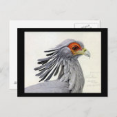 Carte postale Vintage Chicago Art-Abyssinian Birds (Devant / Derrière)