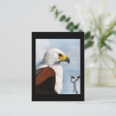 Carte postale Vintage Chicago Art-Abyssinian Birds (Debout devant)