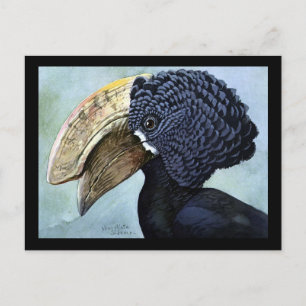 Carte postale Vintage Chicago Art-Abyssinian Birds