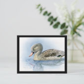 Carte postale Vintage Chicago Art-Abyssinian Birds (Debout devant)