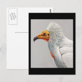 Carte postale Vintage Chicago Art-Abyssinian Birds (Devant / Derrière)