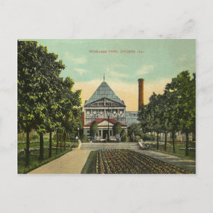 Carte Postale Vintage Chicago Park