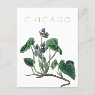 Carte Postale Vintage Chicago voyage de fleurs du milieu du sièc