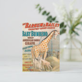 Carte Postale Vintage : cirque Barnum & Bailey - (Debout devant)