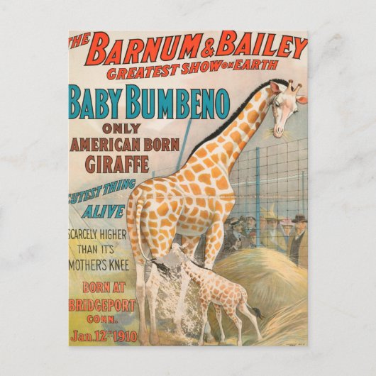 Carte Postale Vintage : cirque Barnum & Bailey - (Devant)