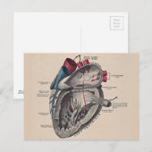 Carte Postale Vintage coeur Cardiovasculaire anatomie du système (Devant / Derrière)