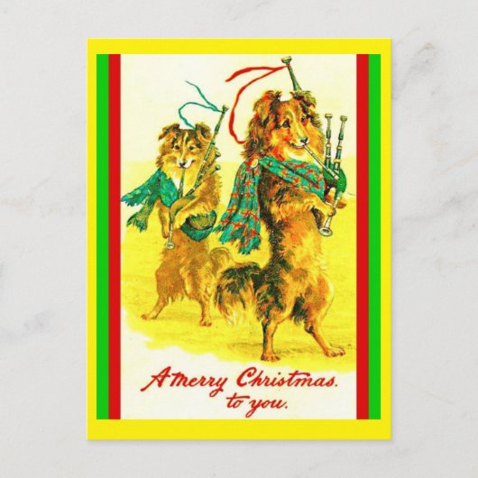 Carte Postale Vintage Collies Écossais, Cornemuses Joyeux Noël (Devant)