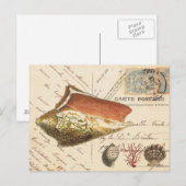 Carte postale vintage Conch Coque et coquillages (Devant / Derrière)