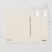 Carte Postale Vintage Cowboy 17 (Dos)