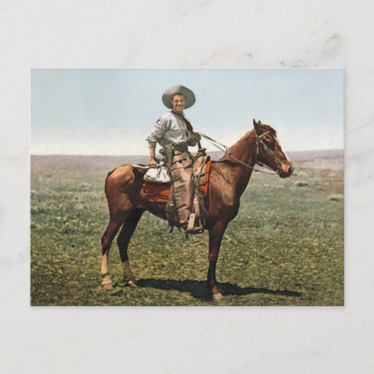 Carte Postale Vintage Cowboy - vers 1904 (Devant)