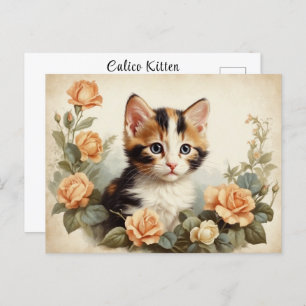 Carte Postale Vintage Cute Calico Kitten Portrait Fleurs Douces