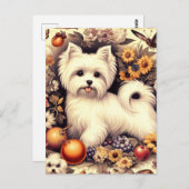 Carte Postale Vintage Cute Maltais (Devant / Derrière)