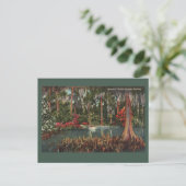 Carte postale Vintage Cypress Gardens (Debout devant)