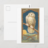 Carte postale vintage de Allen & Ginter représenta (Devant / Derrière)