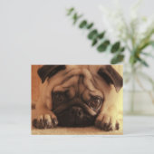 Carte postale Vintage de Carlins SweetPea (Debout devant)