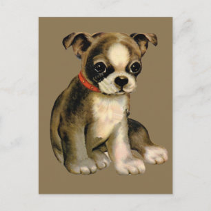 Carte postale vintage de chiot