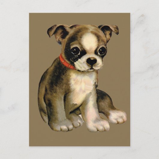 Carte postale vintage de chiot (Devant)