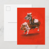 Carte postale vintage de cobaye d'équitation de (Devant / Derrière)