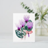 Carte postale Vintage de cyclamen persan (Debout devant)