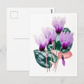 Carte postale Vintage de cyclamen persan (Devant / Derrière)