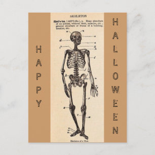 Carte postale vintage de définition de "squelette"