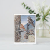 Carte postale vintage de hibou (Debout devant)