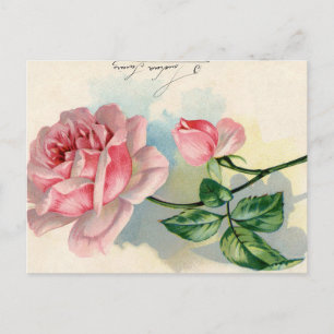 Carte postale vintage de la Saint-Valentin avec éc