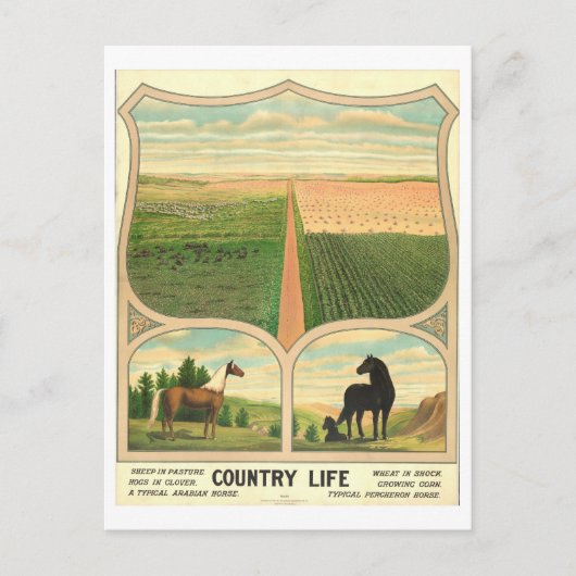 Carte postale Vintage de l'agriculture (Devant)
