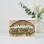 Carte postale vintage de l'alligator de Key West (Debout devant)