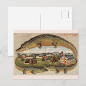 Carte postale vintage de l'alligator de Key West (Devant / Derrière)