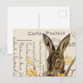Carte postale vintage de lapin de Pâques (Devant / Derrière)