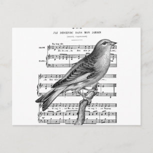 Carte postale vintage de musique Bird Song