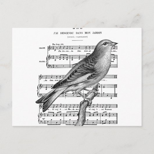 Carte postale vintage de musique Bird Song (Devant)