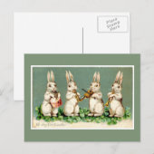Carte postale vintage de Pâques Bunnies Green (Devant / Derrière)