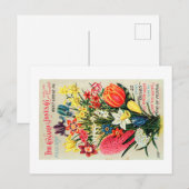 Carte postale vintage de paquets de semences (Devant / Derrière)