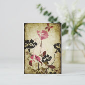 Carte postale vintage de pavots (Debout devant)