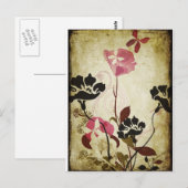 Carte postale vintage de pavots (Devant / Derrière)