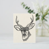 Carte Postale Vintage Deer (Debout devant)