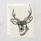 Carte Postale Vintage Deer (Devant / Derrière)