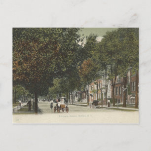 Carte Postale Vintage Delaware Ave. Buffalo, New York