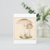 Carte postale vintage d'illustration botanique (Debout devant)