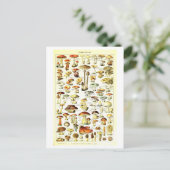 Carte postale vintage d'illustration botanique (Debout devant)