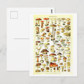 Carte postale vintage d'illustration botanique (Devant / Derrière)