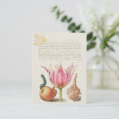 Carte postale vintage d'illustrations botaniques (Debout devant)