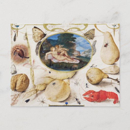 Carte postale vintage d'illustrations botaniques (Devant)