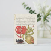 Carte postale vintage d'illustrations botaniques (Debout devant)