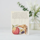 Carte postale vintage d'illustrations botaniques (Debout devant)