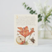 Carte postale vintage d'illustrations botaniques (Debout devant)